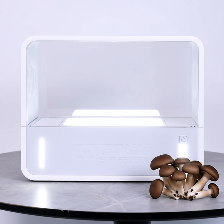 Lumière et fructification : spectres et photopériodes dans la culture des champignons
